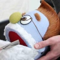 Photo Coverage: AVENUE Q Supports Movember